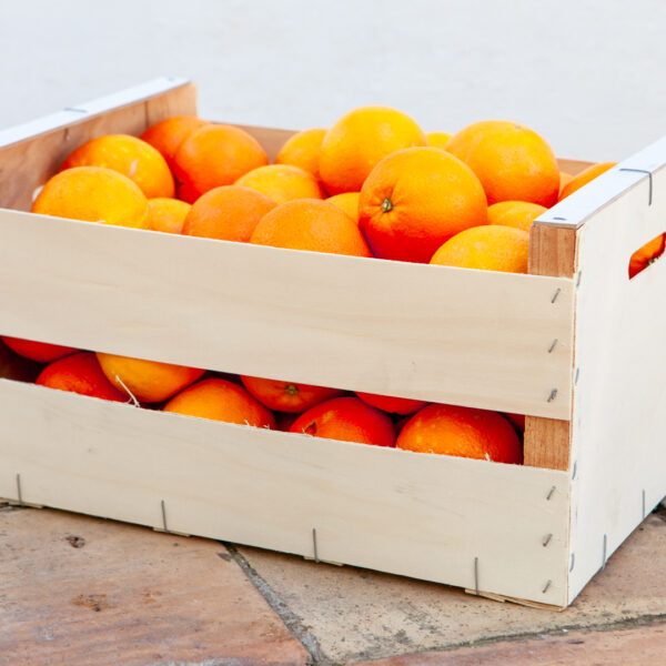 Orange - Navelina variety -10 kg pack