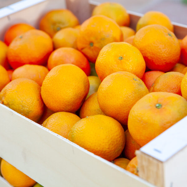 Mandarin- ClemeNules variety - 10kg pack