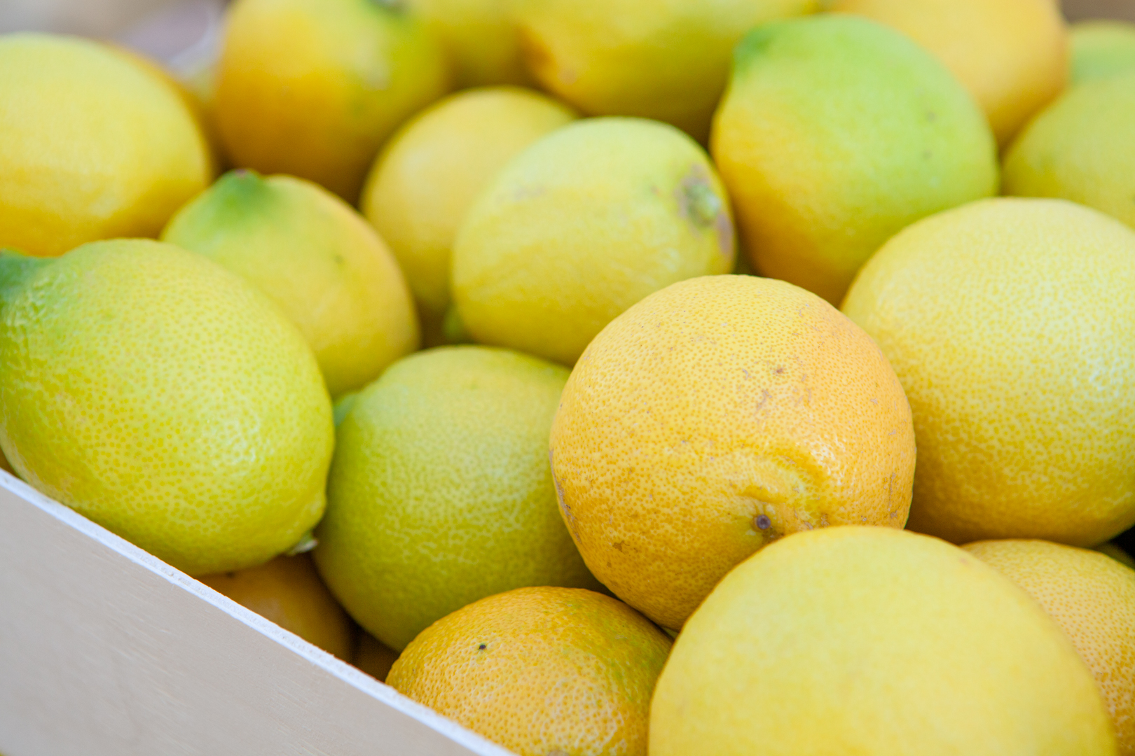 Fruto Farmers orchard and fresh produce