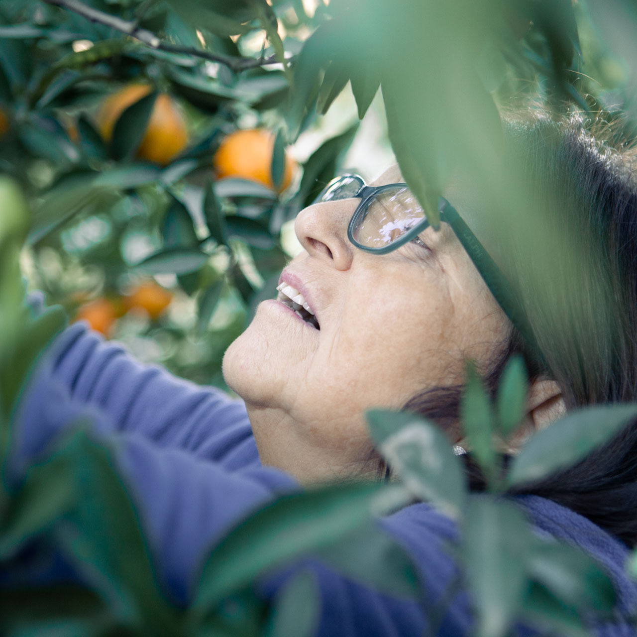 Fruto Farmers orchard and fresh produce