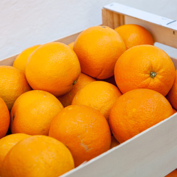 Orange- Navel variety- Per Kg