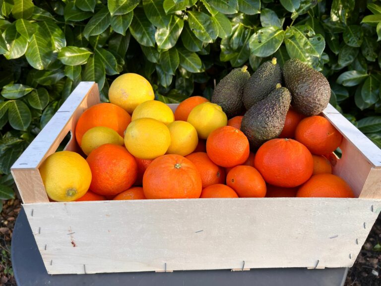 Mixed fruit box from Fruto Farmers