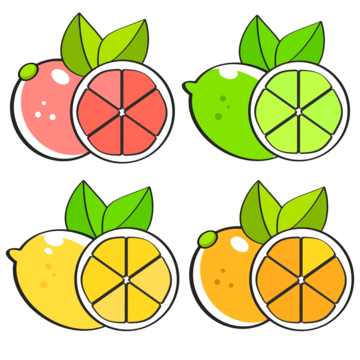 Fresh citrus fruit from Fruto Farmers