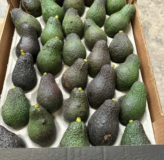 Avocado – Hass (±200 g each)