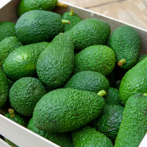 Avocado – Hass (±200 g each)