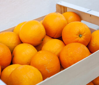 Juice oranges