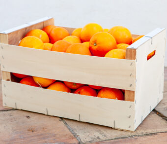 Orange – Navelina