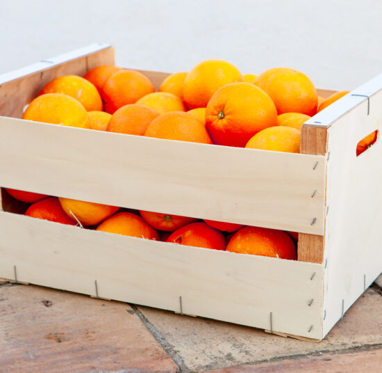 Orange – Navelina