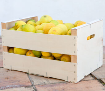 Lemon