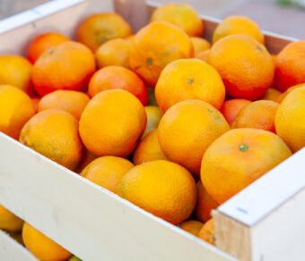 Mandarin – Marisol