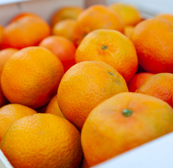 Mandarins - Ortanique variety / kg