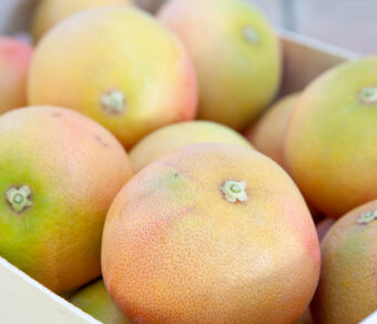 Grapefruit- 10kg Pack