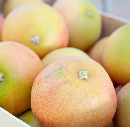 Grapefruit- 10kg Pack