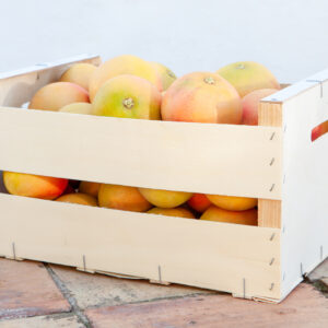 Grapefruit