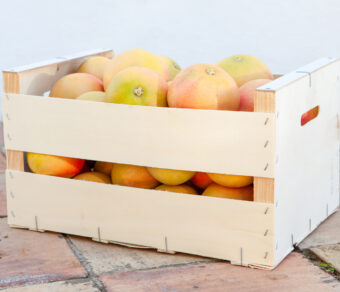 Grapefruit- 10kg Pack