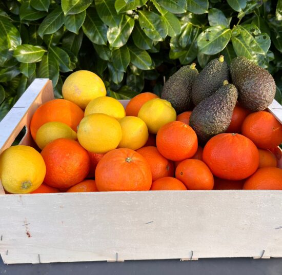Mixed Fruit Pack 4- Oranges, Mandarins, Lemons and Avocados
