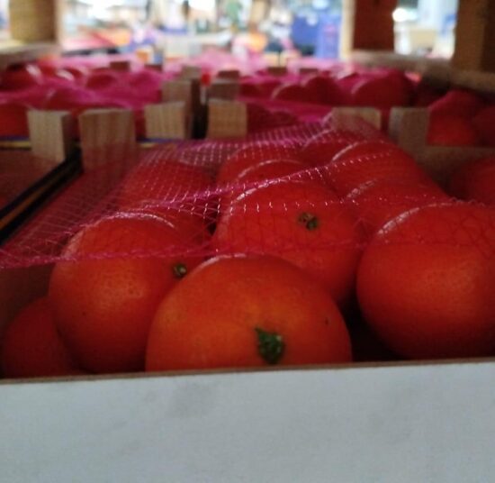 Mandarin- Clemenvilla variety - 2,3 kg Pitufo box