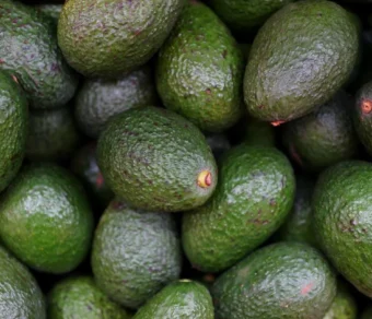 Avocado – Bacon (±200 g each)