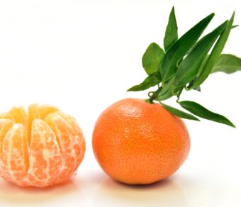 Mandarin – Clemenules